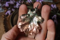 Image 1 of Collana con vera foglia di quercia racchiusa nel rame con patina sfumata verde