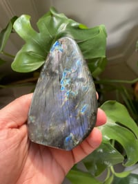 Image 2 of Purple Flash Labradorite Stone (20)