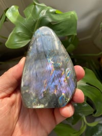 Image 1 of Purple Flash Labradorite Stone (20)