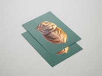 Image 2 of The Crown - A5