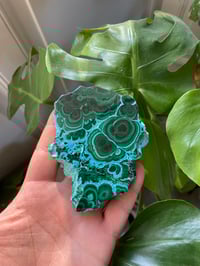 Image 1 of Chrysacholla & Malachite Stone (2)