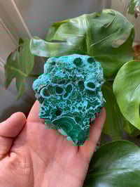 Image 3 of Chrysacholla & Malachite Stone (2)