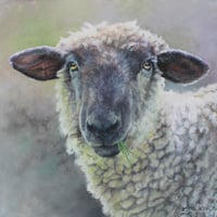 Pablo, Original Painting