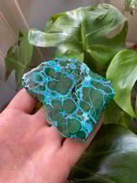 Image 2 of Chrysocolla & Malachite Stone (5)