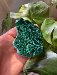 Image 2 of Chrysocolla & Malachite Stone (7)