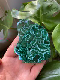 Image 1 of Chrysocolla & Malachite Stone (7)