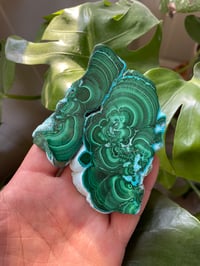 Image 1 of Chrysocolla & Malachite Stone (8)
