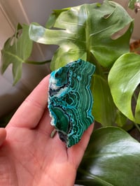 Image 3 of Chrysocolla & Malachite Stone (10)