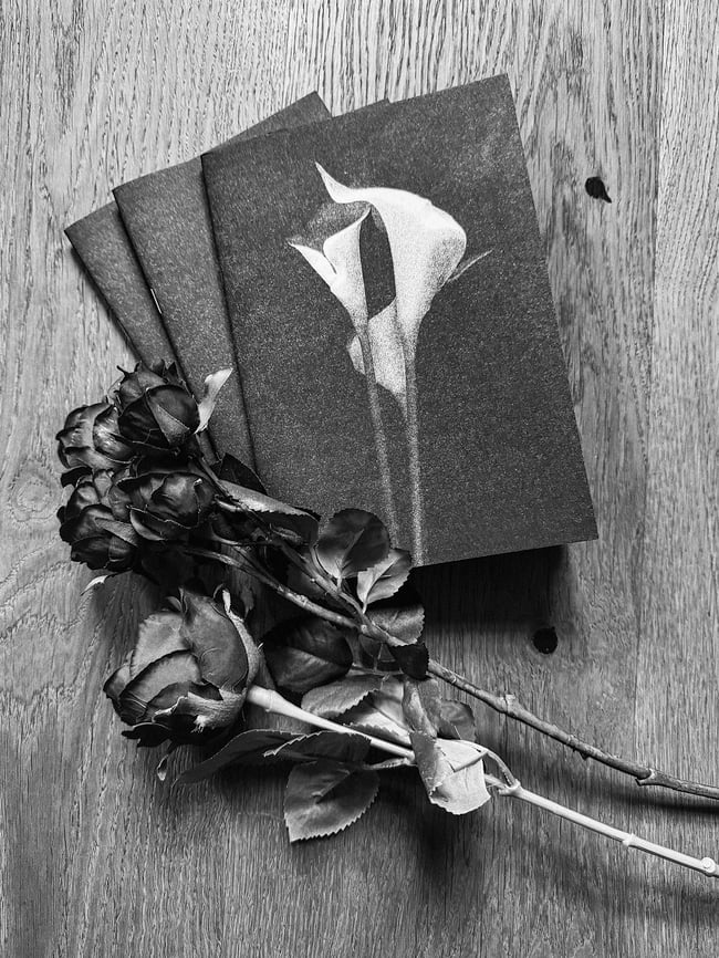 Zine Volume II: Pain Is The Doorway, And Ecstasy The Flame