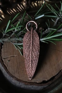 Image 3 of Collana con vera foglia di salvia racchiusa nel rame con patina ossidata