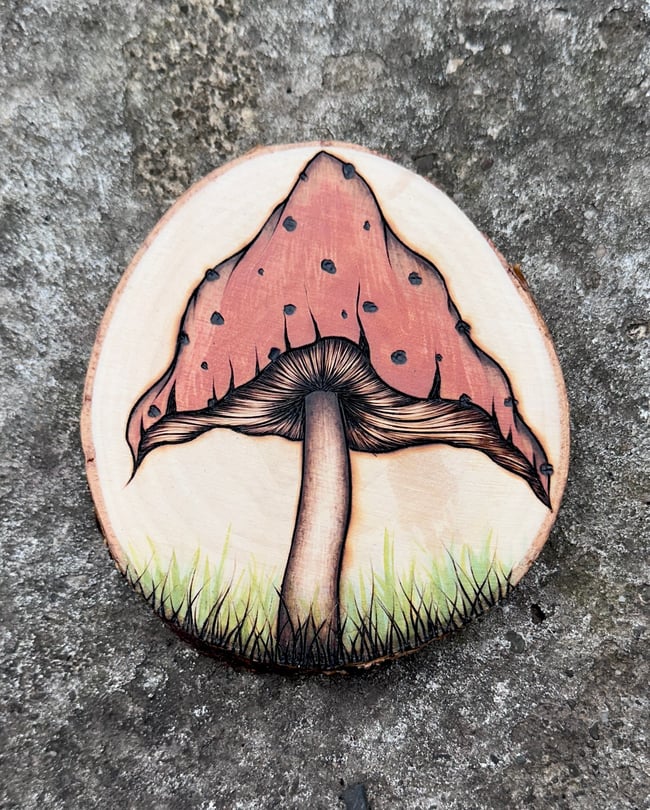 Mushroom Magnet
