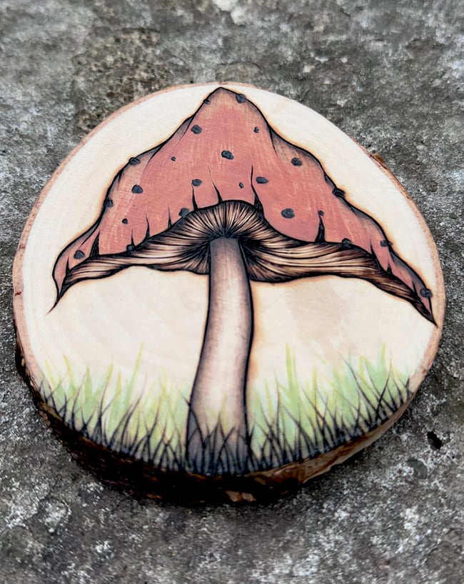 Mushroom Magnet