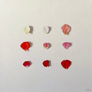 Image of A Delicate Operation