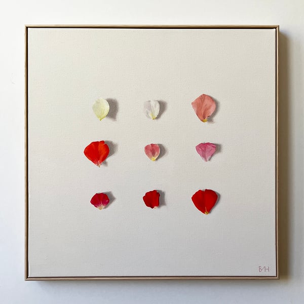 Image of A Delicate Operation