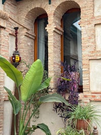 Image 5 of S02/05 Haz tu cuenco: edición campestre