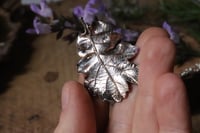 Image 1 of Collana con vera foglia di quercia argentata