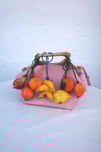 Image 1 of XL FRUIT STORE