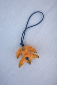 Image 6 of XL FRUIT STORE