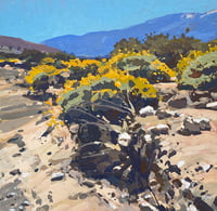 Whitewater Canyon with blooming Farinosa