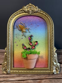 Image 1 of Rainbow Cactus 