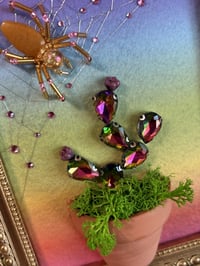 Image 2 of Rainbow Cactus 