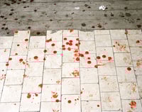 Image 11 of Andrew Miksys - Disko (Signed, #115/150)