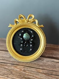 Image 4 of Labradorite Spider