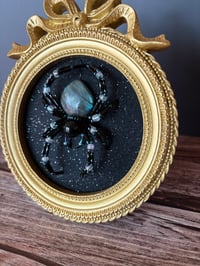 Image 3 of Labradorite Spider