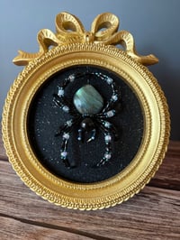 Image 1 of Labradorite Spider