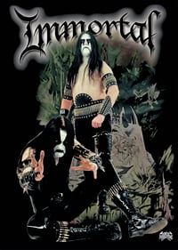 Immortal - At The Heart Of Winter (Promo Poster)