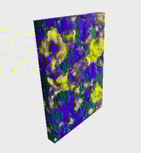 Image 2 of Electric Iris