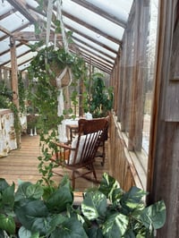 Image 3 of MOTHER'S DAY @ THE GREENHOUSE **SOLD OUT**