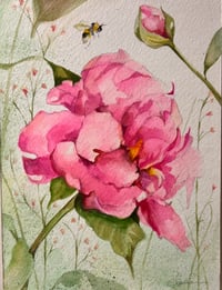 "Pink Peony" by Claire Stoner