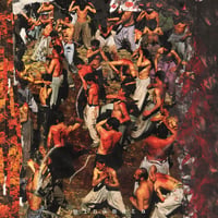 Public Health—"Minamata" LP