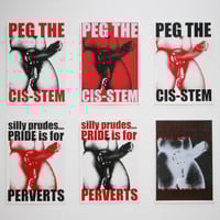 Image 4 of PRIDE is a Trans Led Protest!