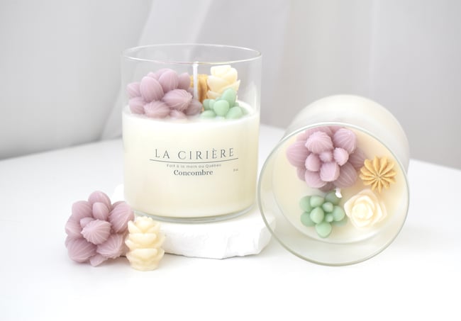 Bougie succulente