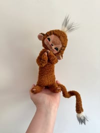 Image 3 of Tiger Monkey