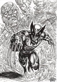 Image 1 of Commission Wolverine