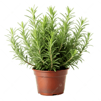 Earth day plant bar