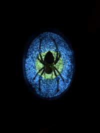 Celestial Glow Spider