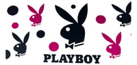 PlayBoy