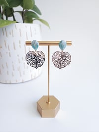 Image 1 of Bahamian Waters Monsteras 