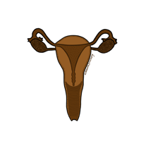 Colour in Graphics: Puberty Education