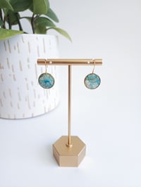 Image 1 of Bahamian Waters Discs (S)