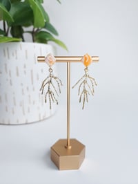 Image 1 of Peaches & Cream Marble Coral 