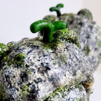 Image 4 of Rock Effect Lychee Bear