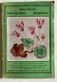 Image 1 of Alpine Flowers Fleurs des Alpes (B)