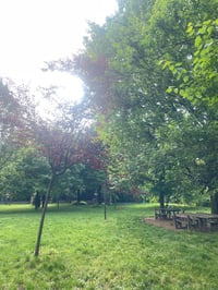 Image 2 of Yoga al parco Martesana - 10 Maggio