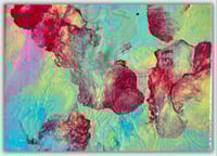 Image 1 of Coral Flora