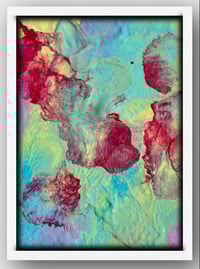 Image 3 of Coral Flora